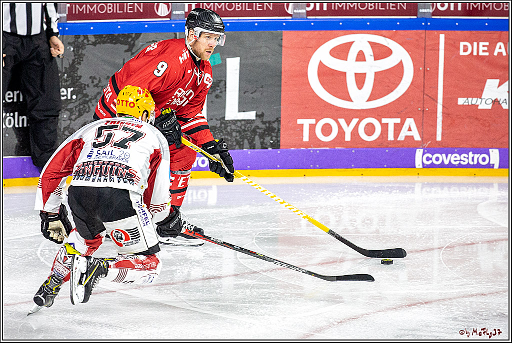 DEL;  Koelner Haie - Fischtown Pinguins Bremerhaven; Koeln, 22.12.2019